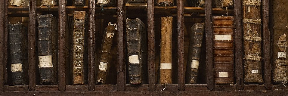 Cráneo Previlegiado banner