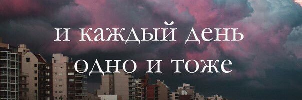 olyapola's profile banner image