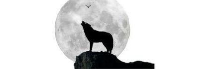 𝔼𝕩𝕖 banner