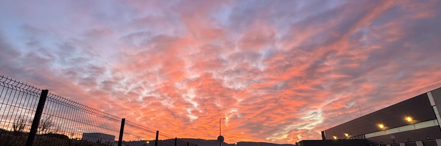 ALEj 🇵🇸 banner