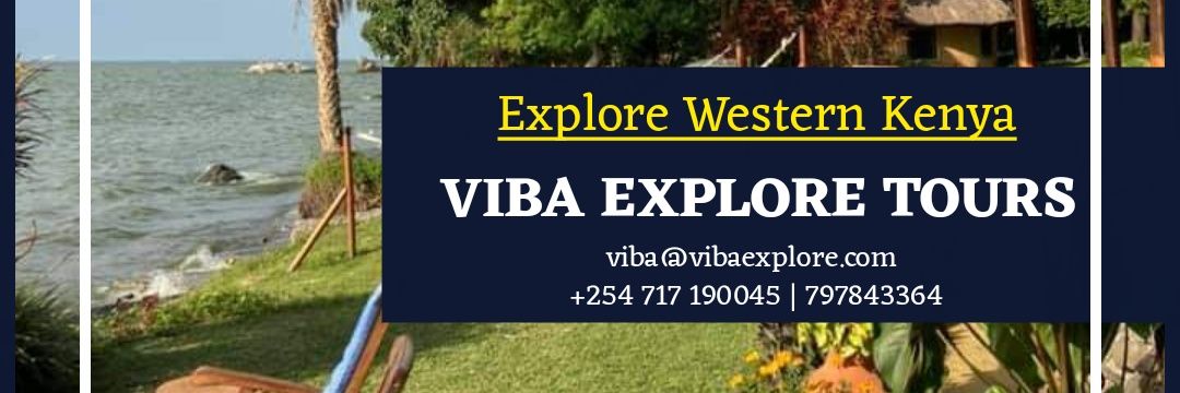 VIBA Explore Tours banner