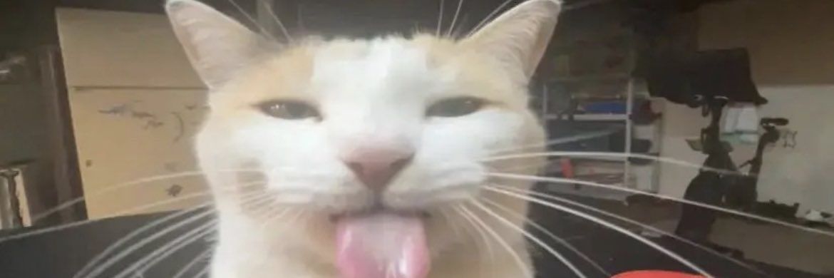 miorts_'s profile banner image