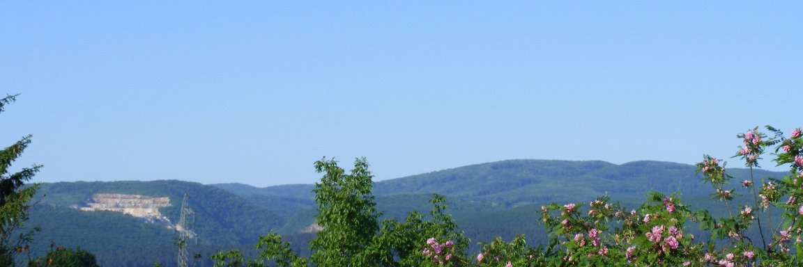 furedipeti's profile banner image