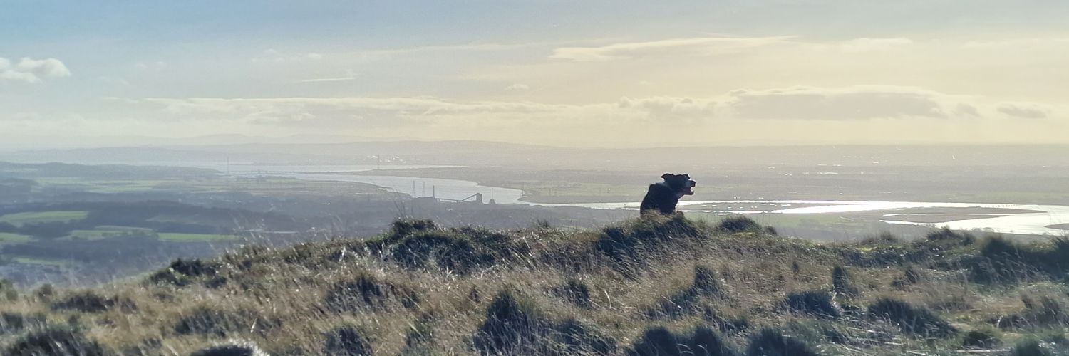 Jane Callaghan 🌈 🏴󠁧󠁢󠁳󠁣󠁴󠁿🐶🐱🥾🧶 banner