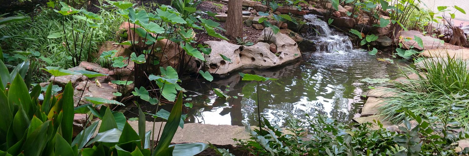 Nimish Shah, MD banner