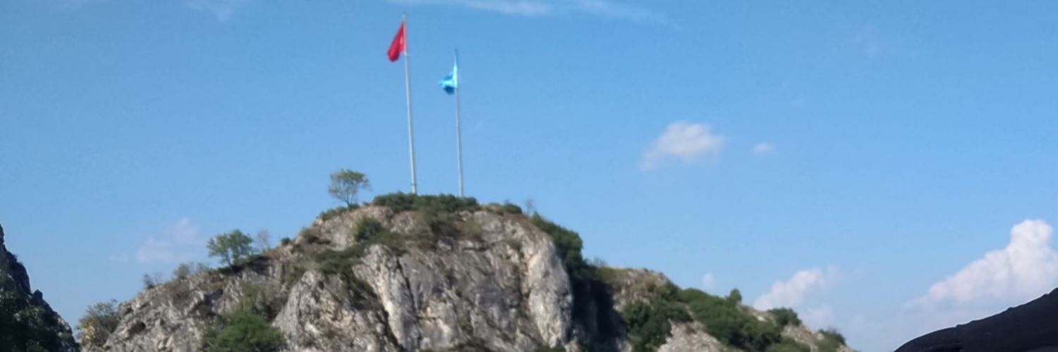 AYSEYERAL's profile banner image