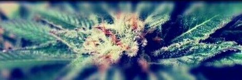 EasyXray's profile banner image
