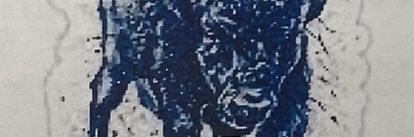 Chris Chitwood banner