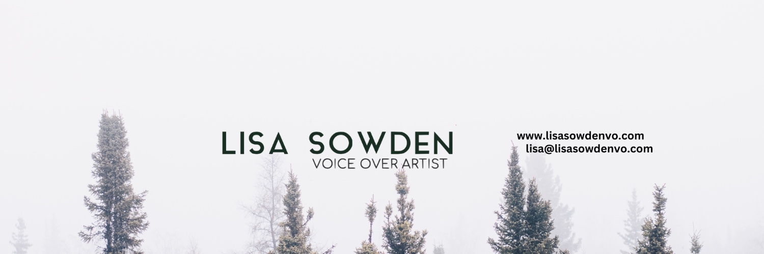 LisaSowden's profile banner image