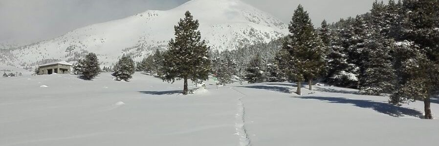 jribacodina's profile banner image