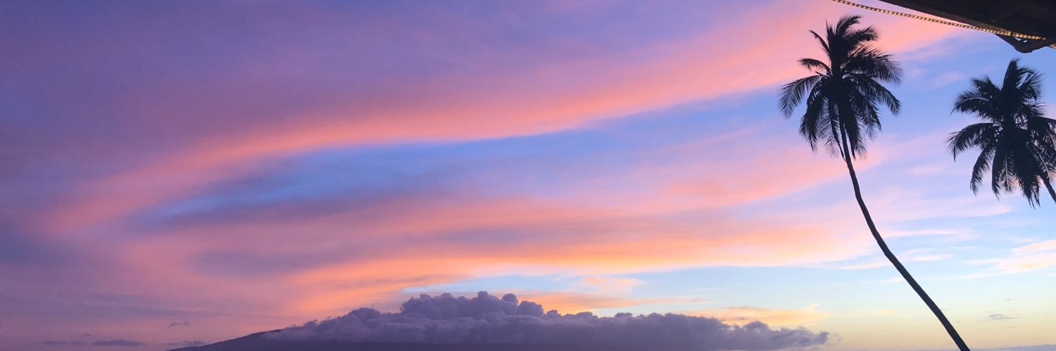 EllieHelgerson's profile banner image
