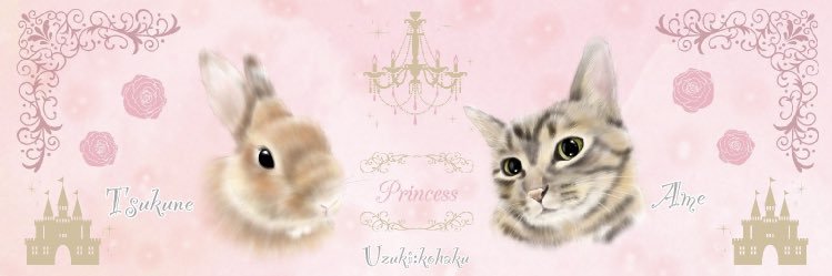 ame_tsukune's profile banner image