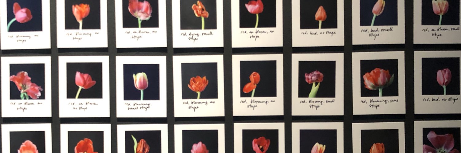 Inspiring Teacher 🙋🏽‍♀️ banner