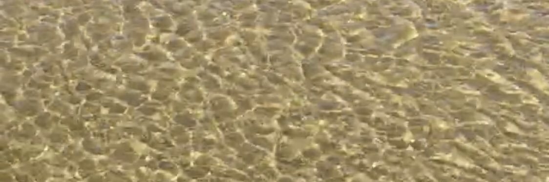 The GoldFish Report banner