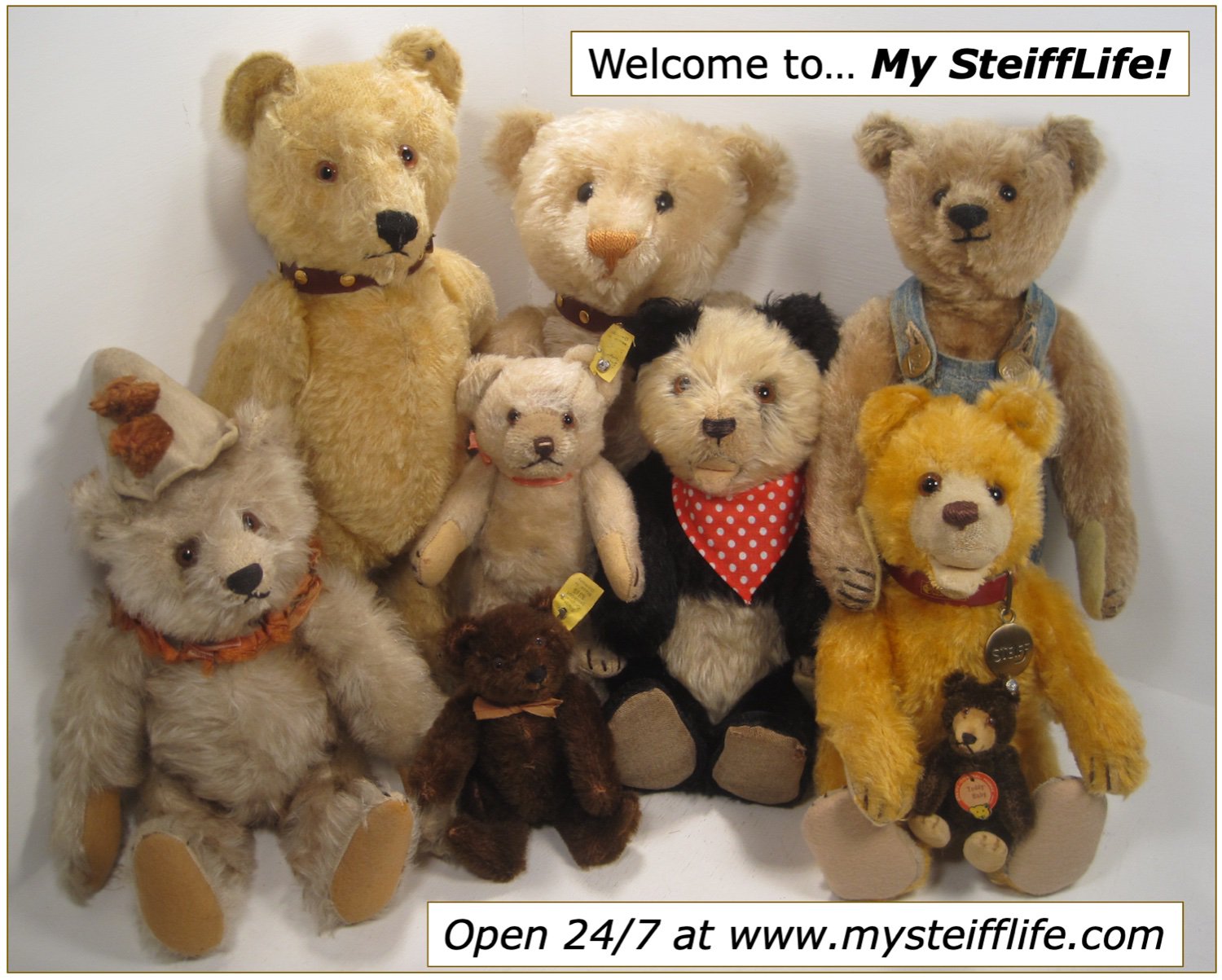Steiff Gal banner