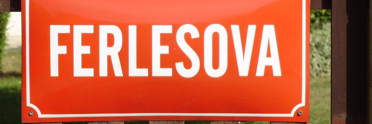 Vladimír Ferles 🇨🇿 banner