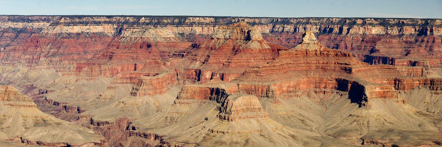 E. Harvey (~˘▾˘)~ banner