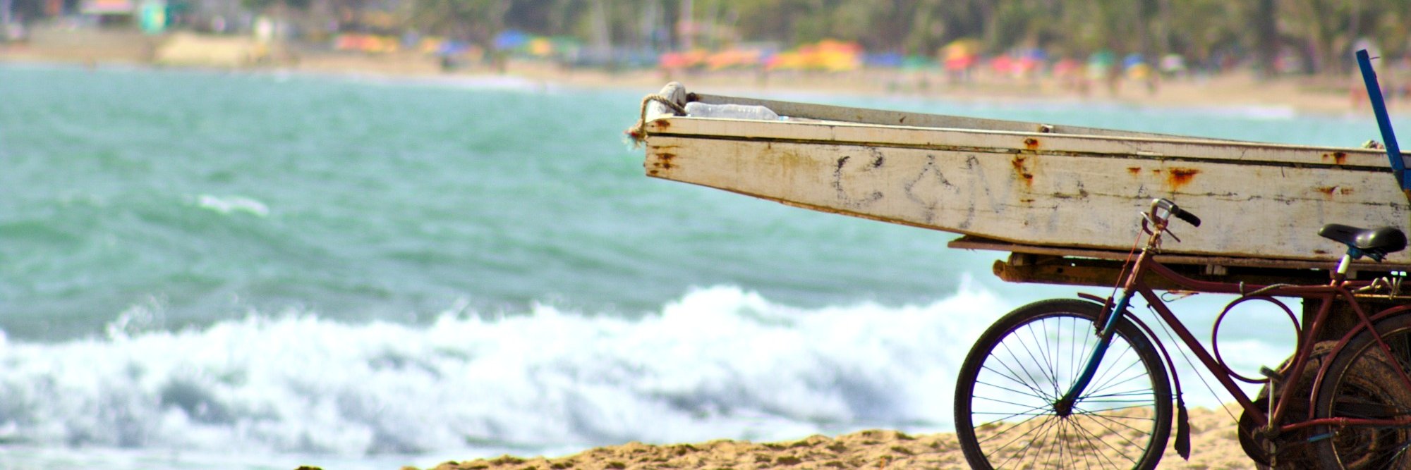 Alê Borba banner