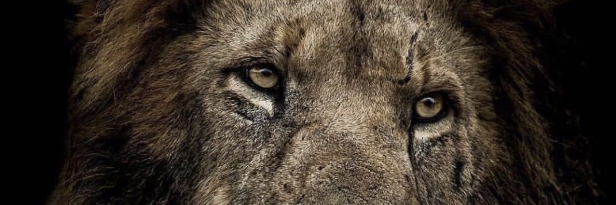 y2ozz's profile banner image