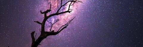MEESOMX's profile banner image