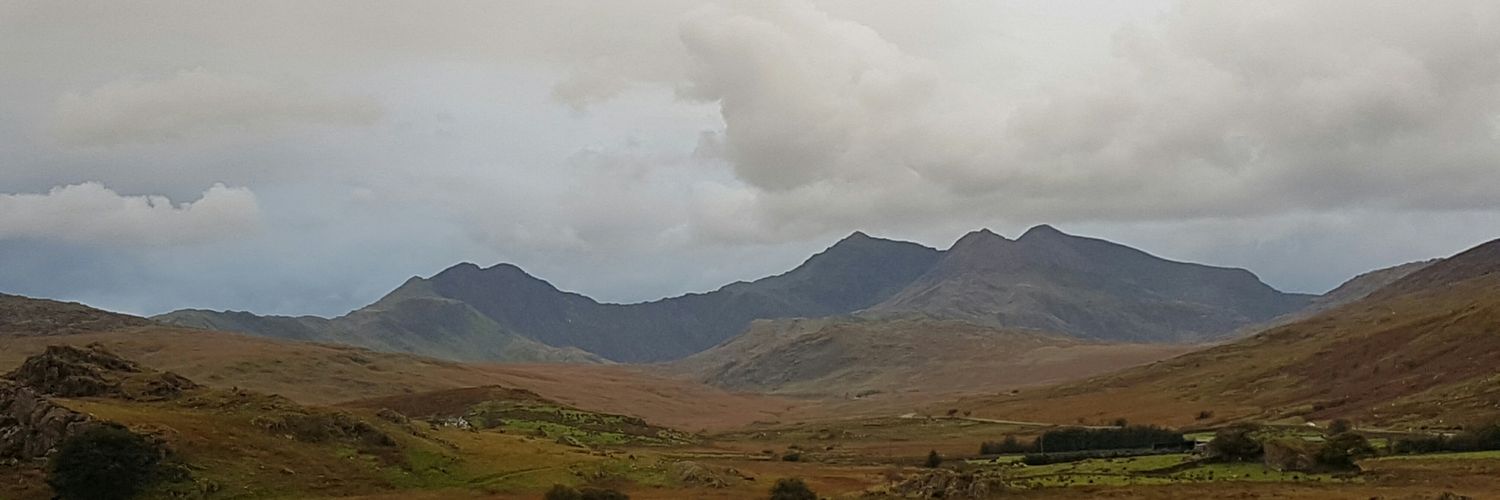 Ross Hunter banner