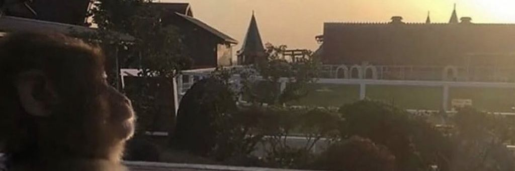 レッドカラント banner