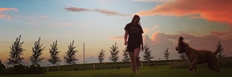 tiabusche's profile banner image