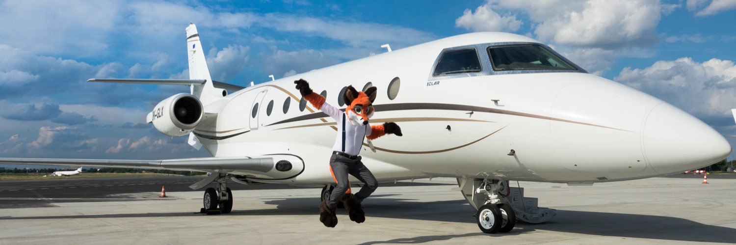 Fly JetFox - 🦊 ✈️🇦🇺🇨🇿 banner