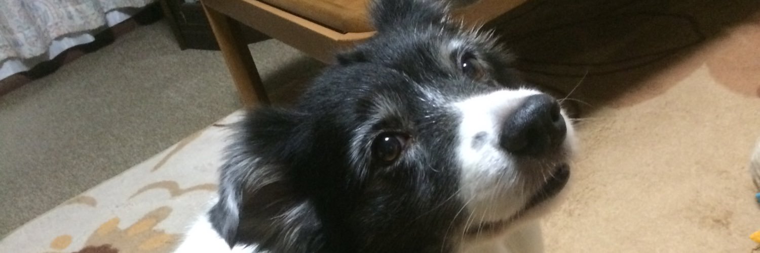 keidoro's profile banner image