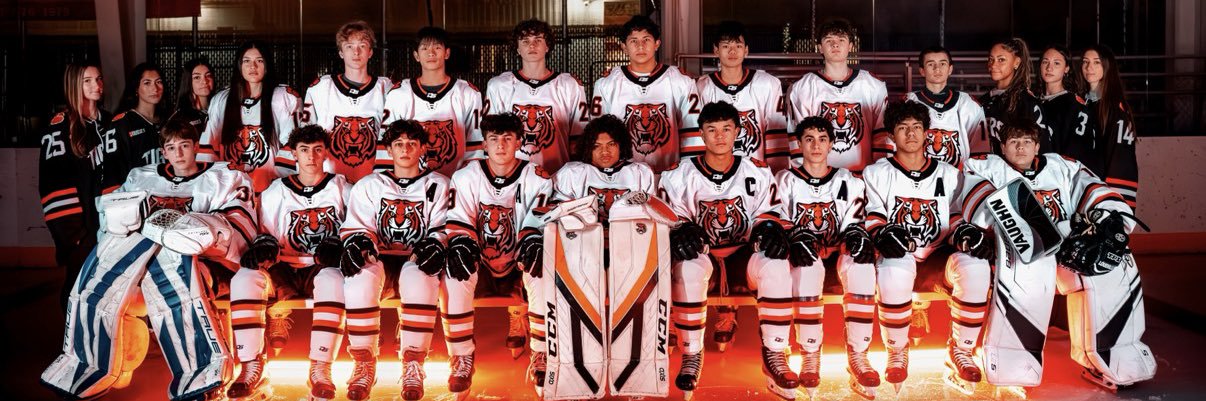 Dubset Puck banner