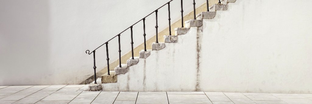 cultiform's profile banner image