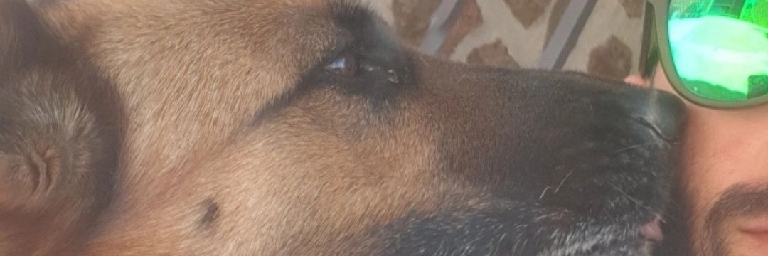 Hector9756's profile banner image