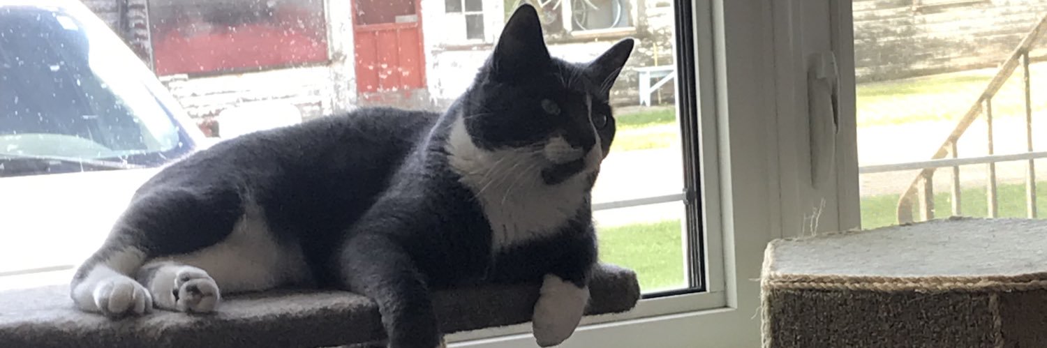 gupper123's profile banner image