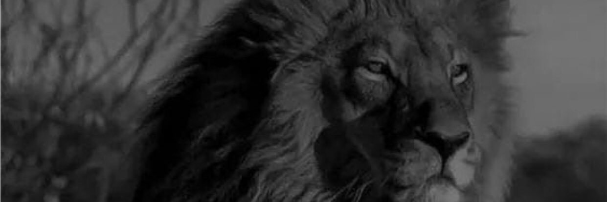 CEkans's profile banner image