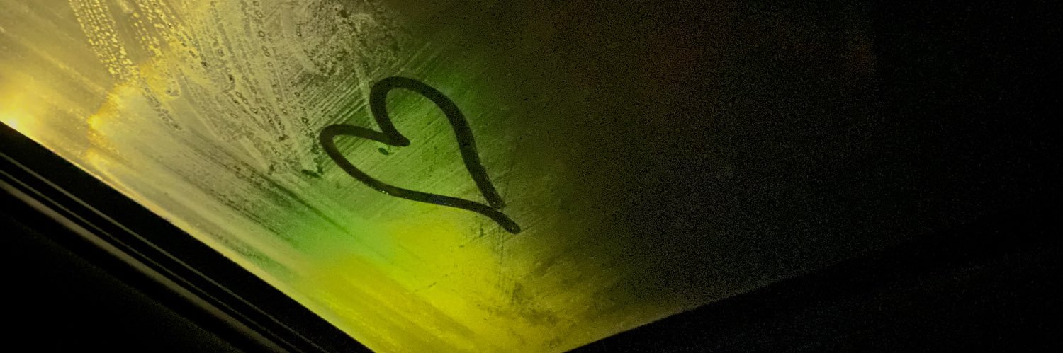 seliinoterr's profile banner image