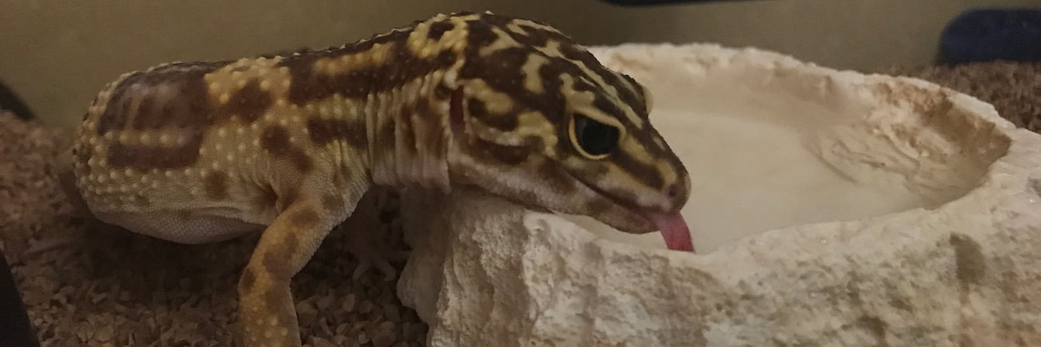 haribo_bon's profile banner image