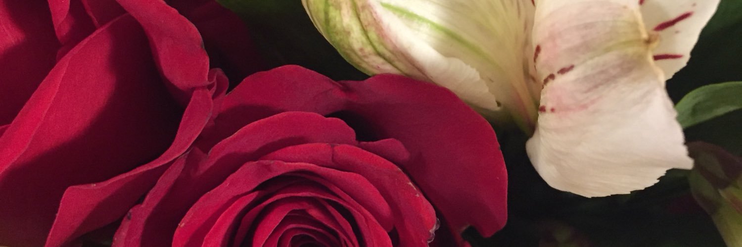 StaceyJ_Miller's profile banner image