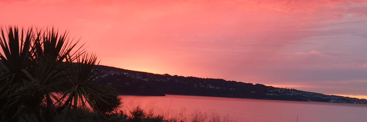 varangianguard_'s profile banner image