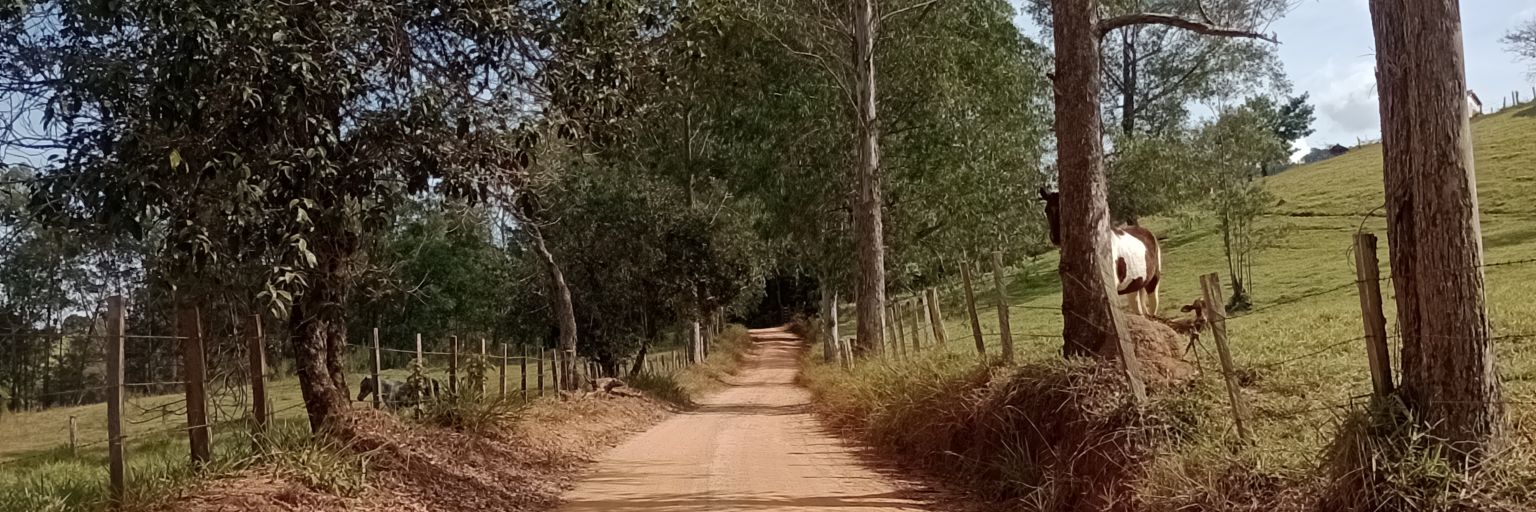 carolfds1304's profile banner image