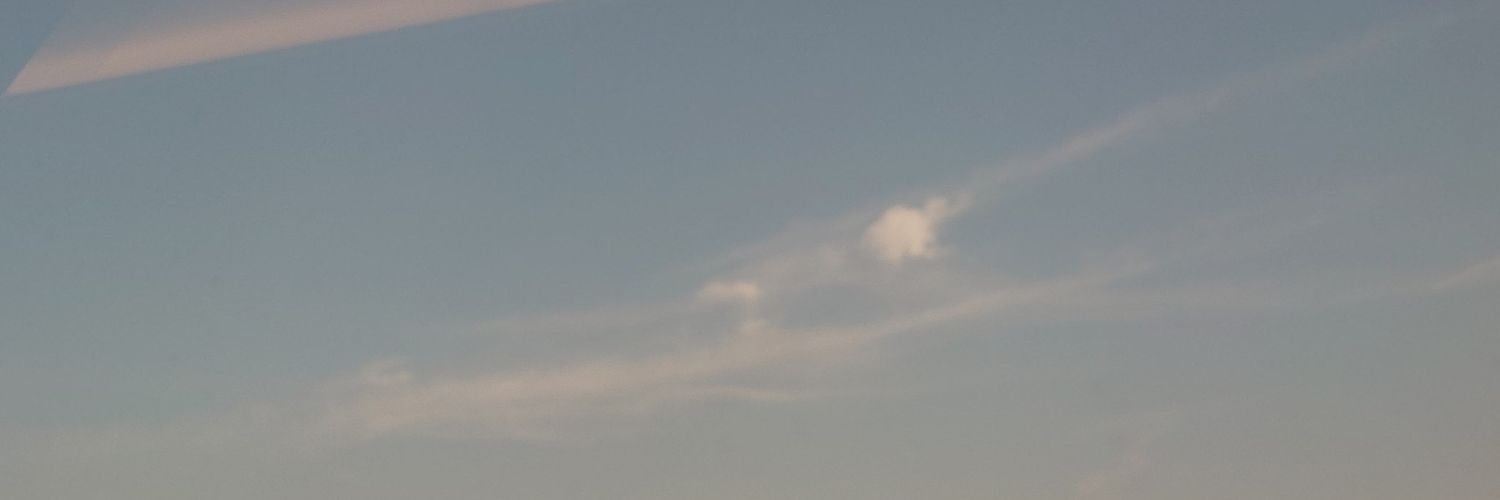 平子 banner