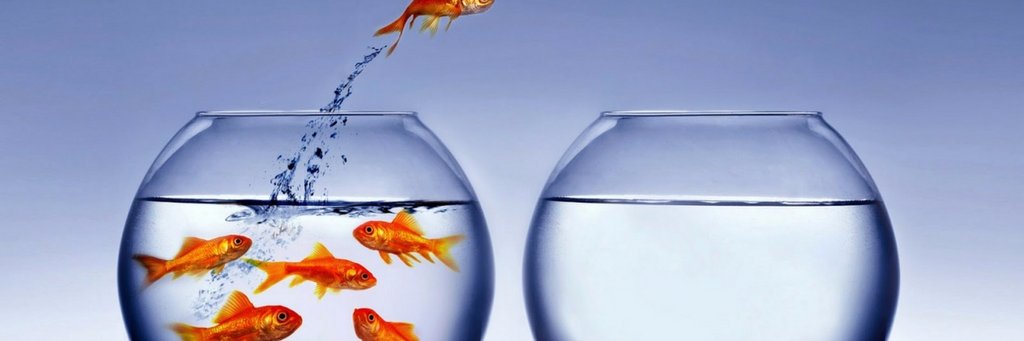 Nathan L. Fisher, EdD banner