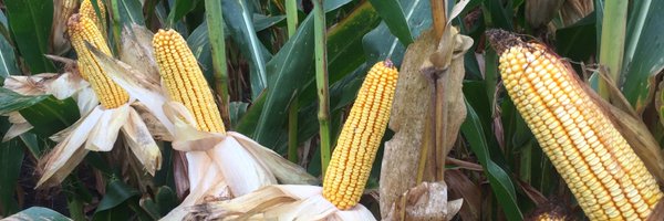 HomannAg Profile Banner