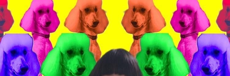 noasabamiso's profile banner image