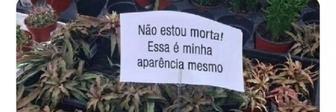 Nãopó DC banner