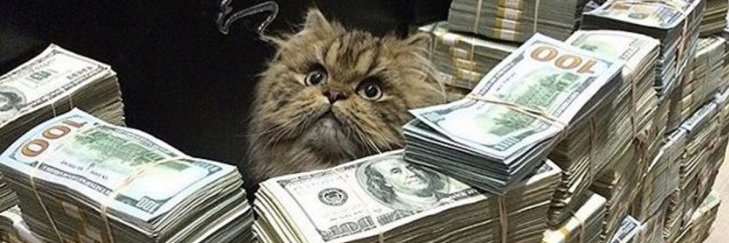 gederico's profile banner image