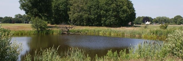 gerardhulsmann's profile banner image