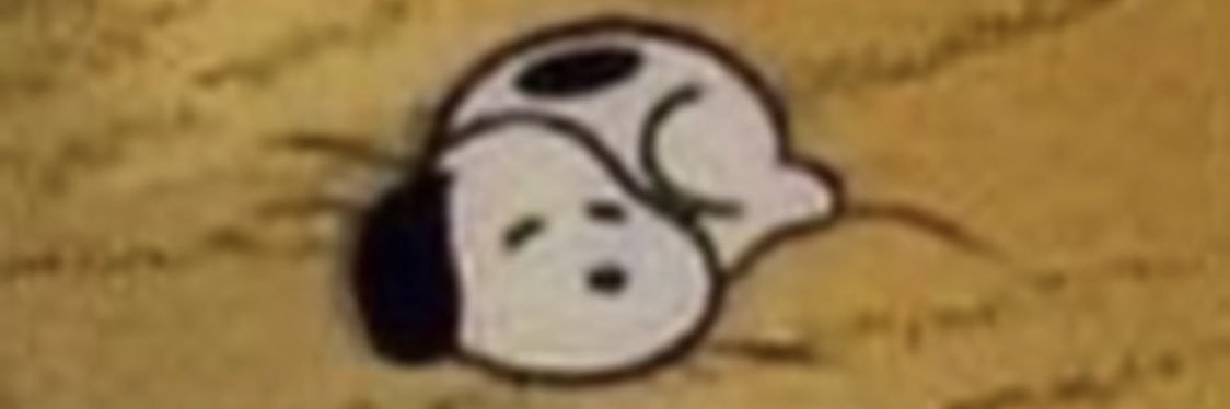 BIGONBUGS's profile banner image