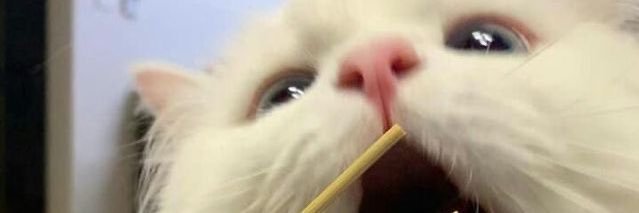Tipsukho's profile banner image