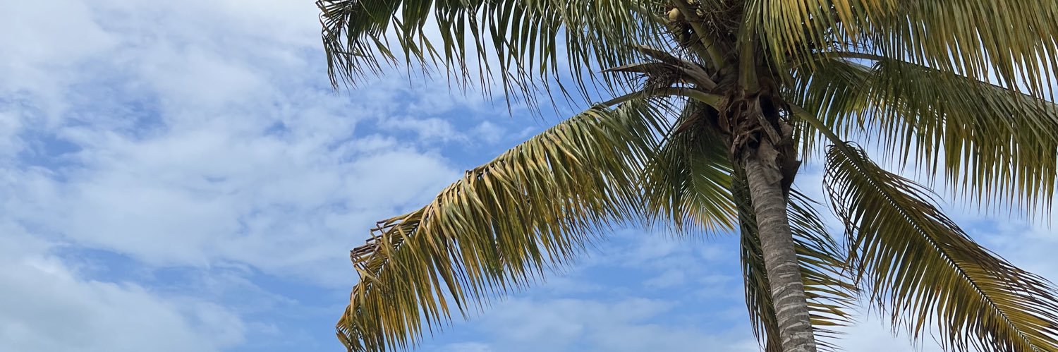 emilyrojasd's profile banner image