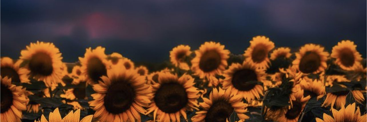 mimc1601's profile banner image